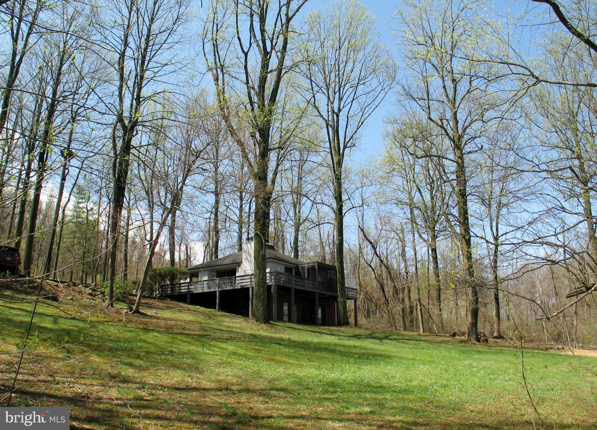 21967 Blue Ridge Mountain Road Paris, VA 20130 - Photo 24 of 30 Wooded Privacy