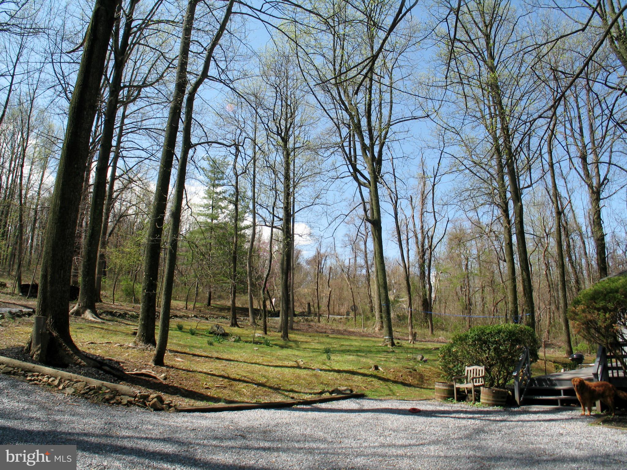 21967 Blue Ridge Mountain Road Paris, VA 20130 - Photo 25 of 30 Front Open Area to Road