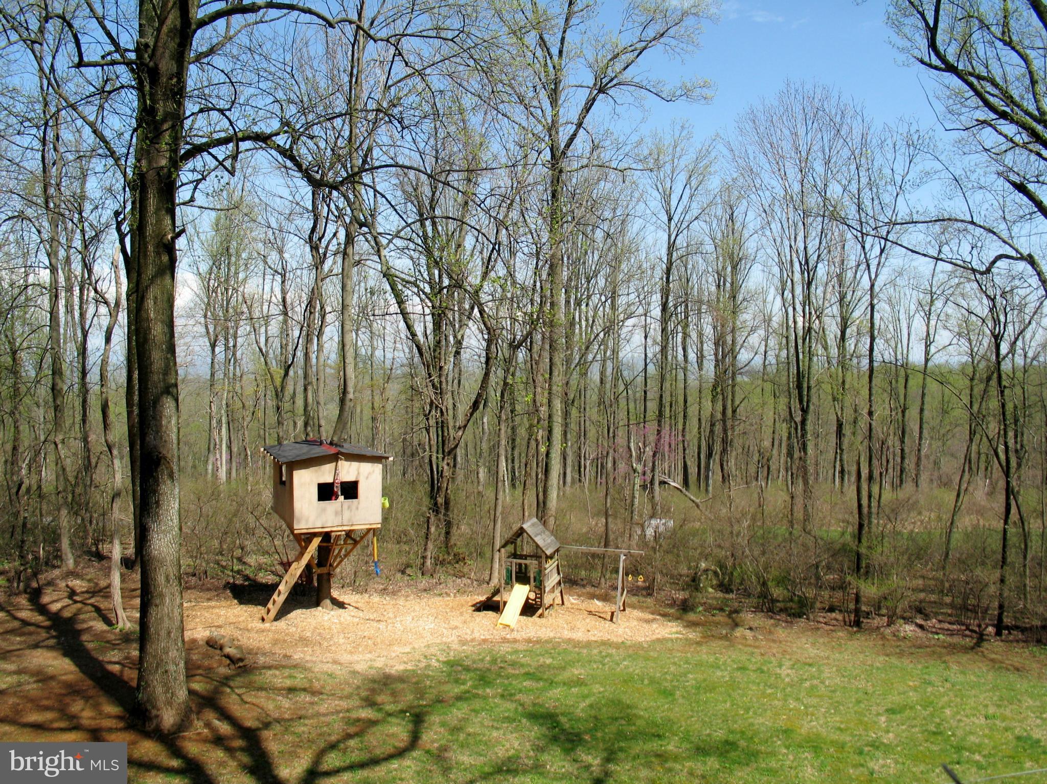 21967 Blue Ridge Mountain Road Paris, VA 20130 - Photo 28 of 30 Tree House and Play Area and Winter View
