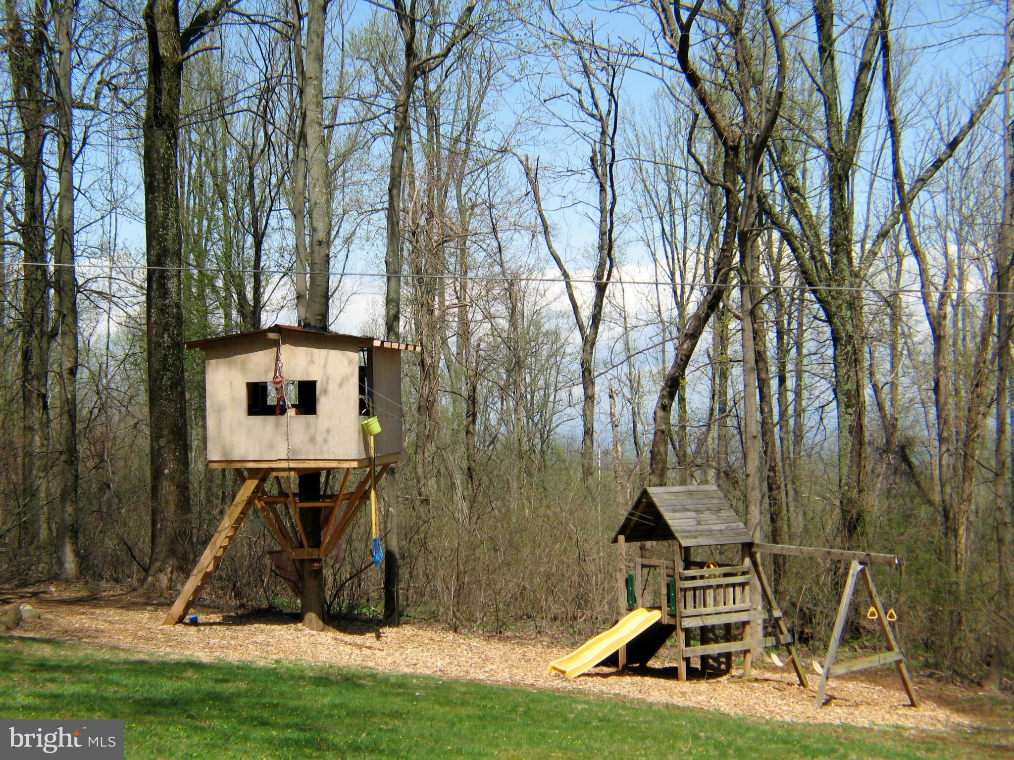 21967 Blue Ridge Mountain Road Paris, VA 20130 - Photo 29 of 30 Tree House