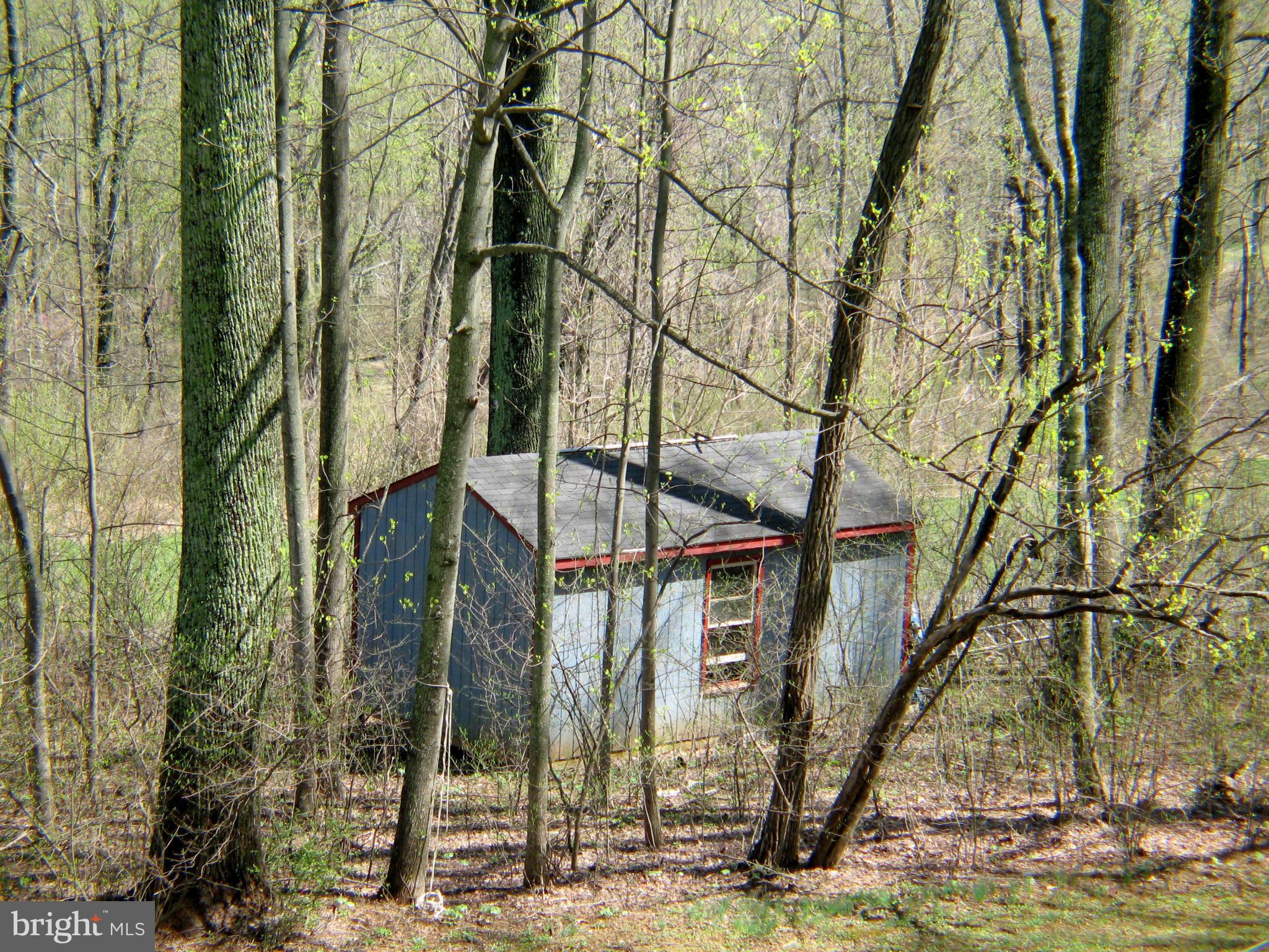 21967 Blue Ridge Mountain Road Paris, VA 20130 - Photo 30 of 30 Storage Shed
