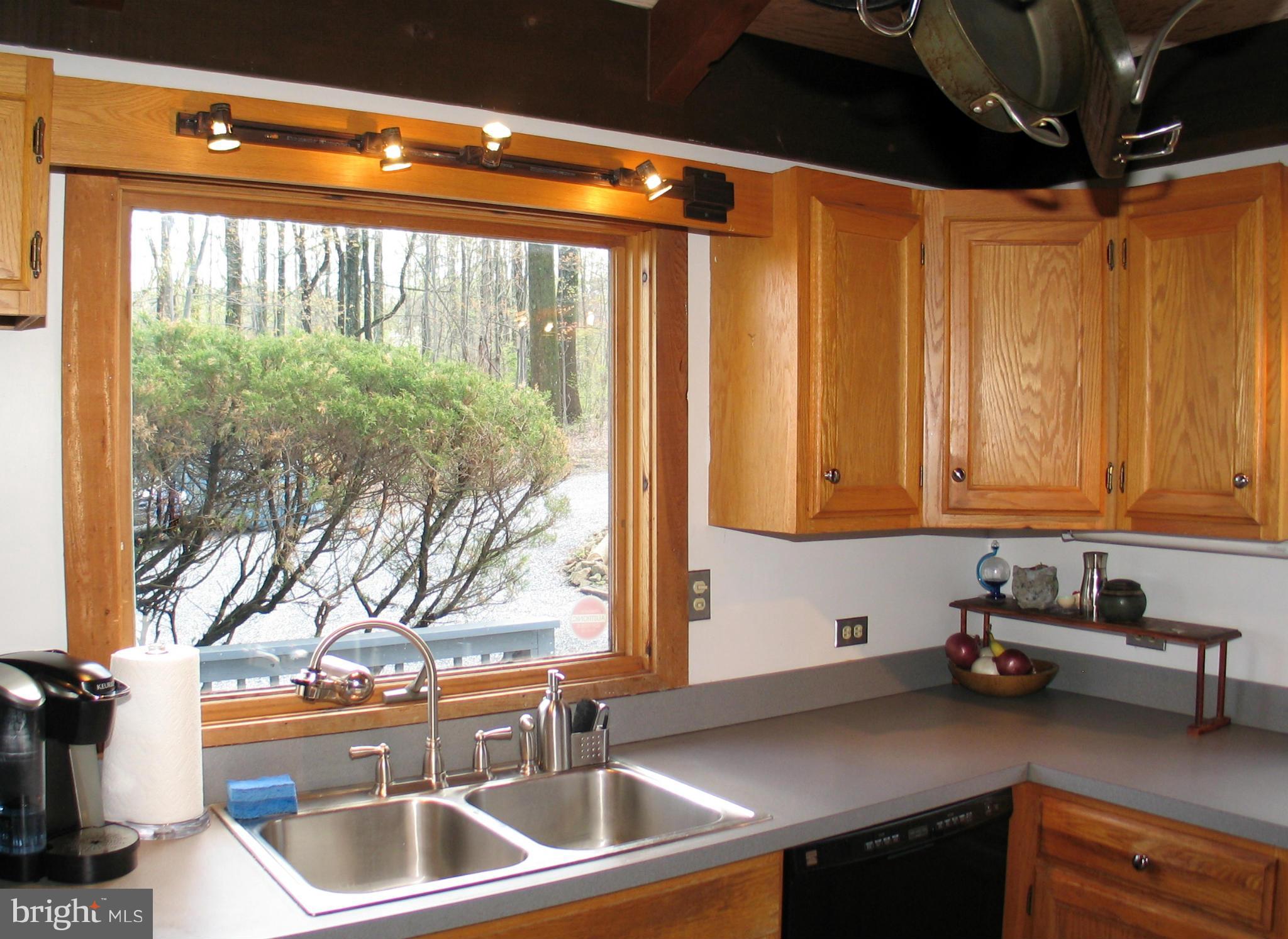 21967 Blue Ridge Mountain Road Paris, VA 20130 - Photo 9 of 30 Large Kitchen Windows