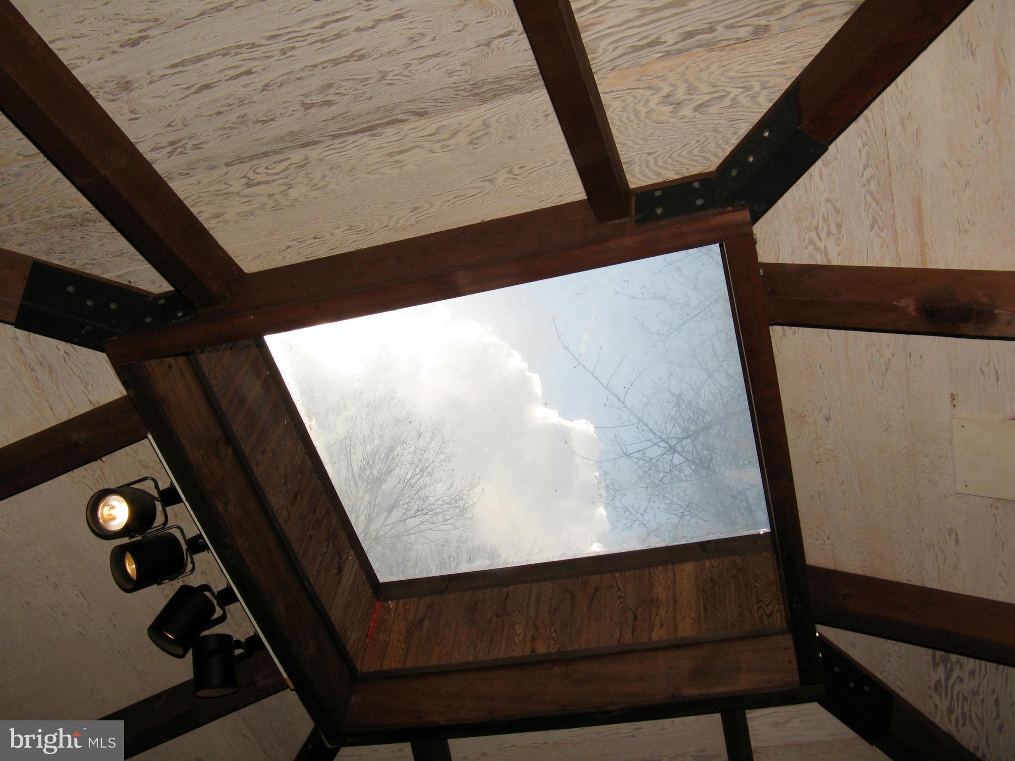 21967 Blue Ridge Mountain Road Paris, VA 20130 - Photo 10 of 30 Great Room Skylight