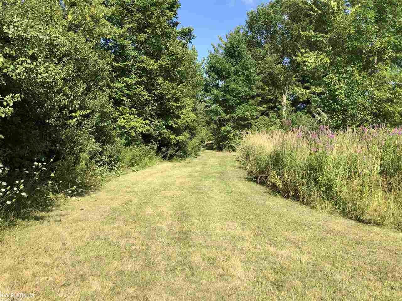 Vacant Fish Road Smiths Creek, MI 48074 - Photo 14 of 15