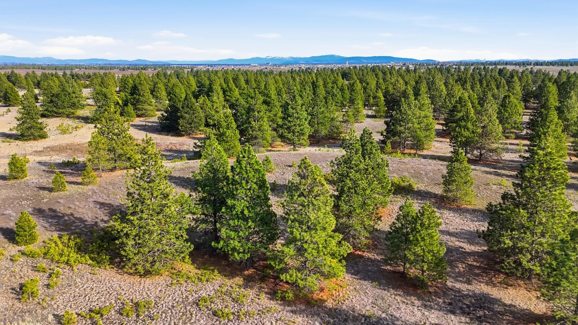 0 North Dover Road, Unit LOT 2 Medical Lake, WA 99022 - Photo 1 of 22 Gallery Image 1