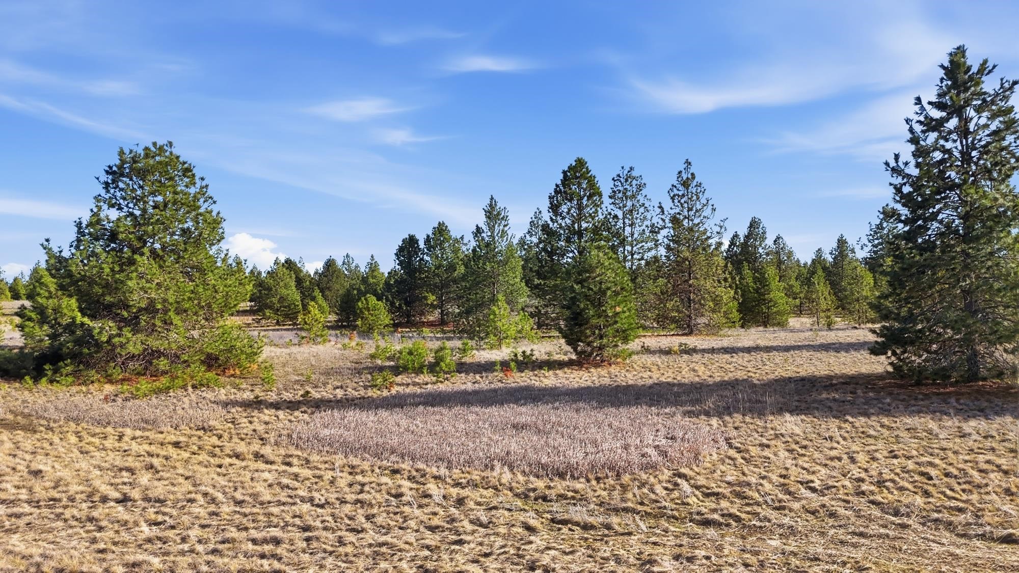0 North Dover Road, Unit LOT 2 Medical Lake, WA 99022 - Photo 11 of 22 Gallery Image 11