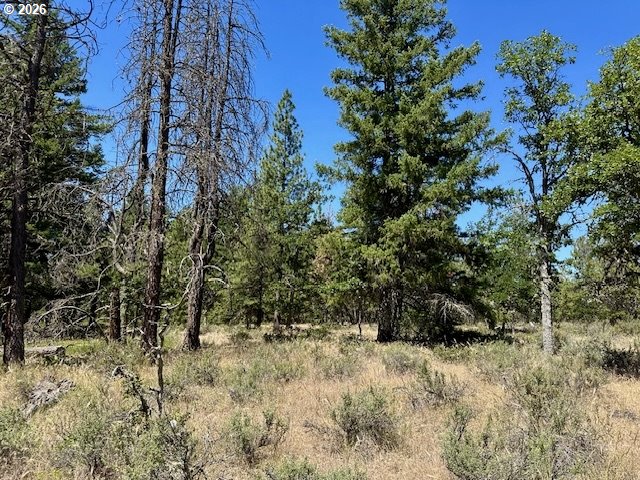 41 Timber Drive Goldendale, WA 98620 - Photo 6 of 23