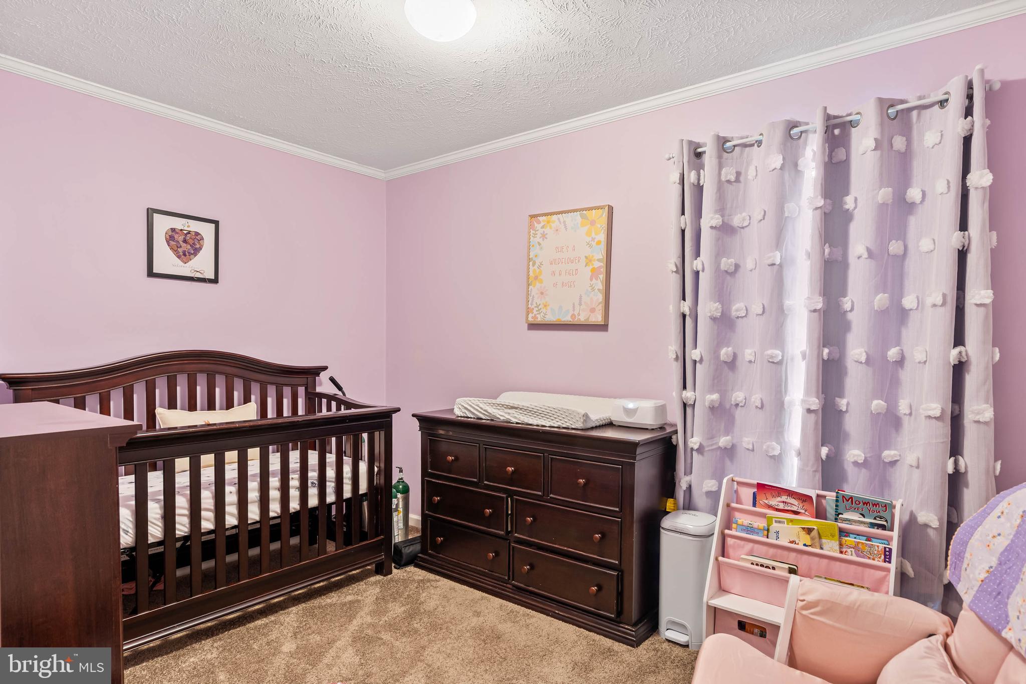 24335 Shortly Road Georgetown, DE 19947 - Photo 22 of 29 a bedroom with furniture and a baby crib