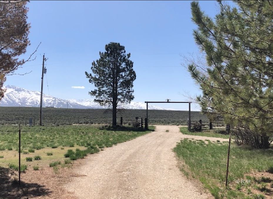 West Wind Loop Dr Spring Creek Spring Creek, NV 89815 - Photo 2 of 39 Gallery Image 2