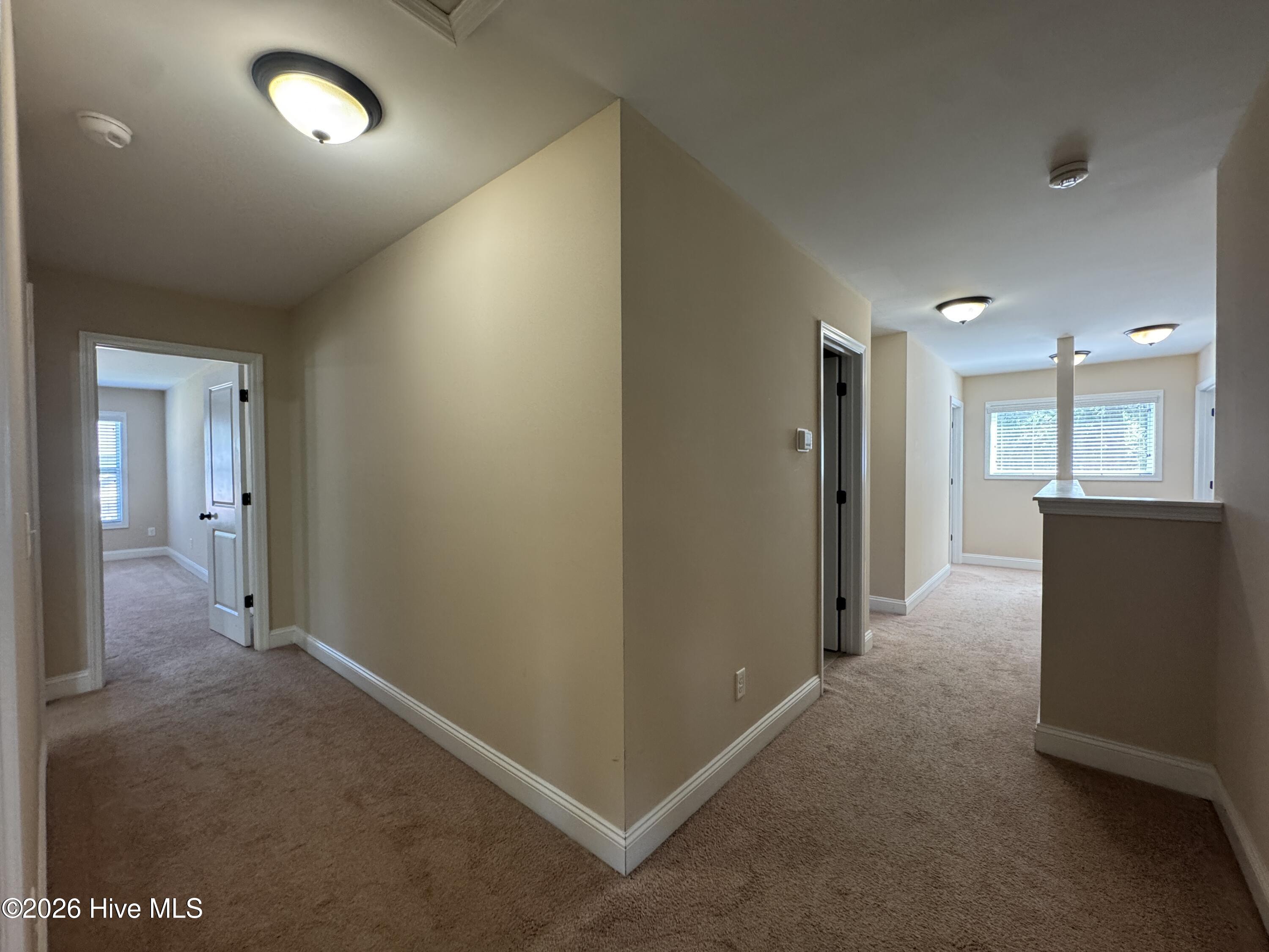 107 Roughleaf Trail Hampstead, NC 28443 - Photo 18 of 36 Gallery Image 18