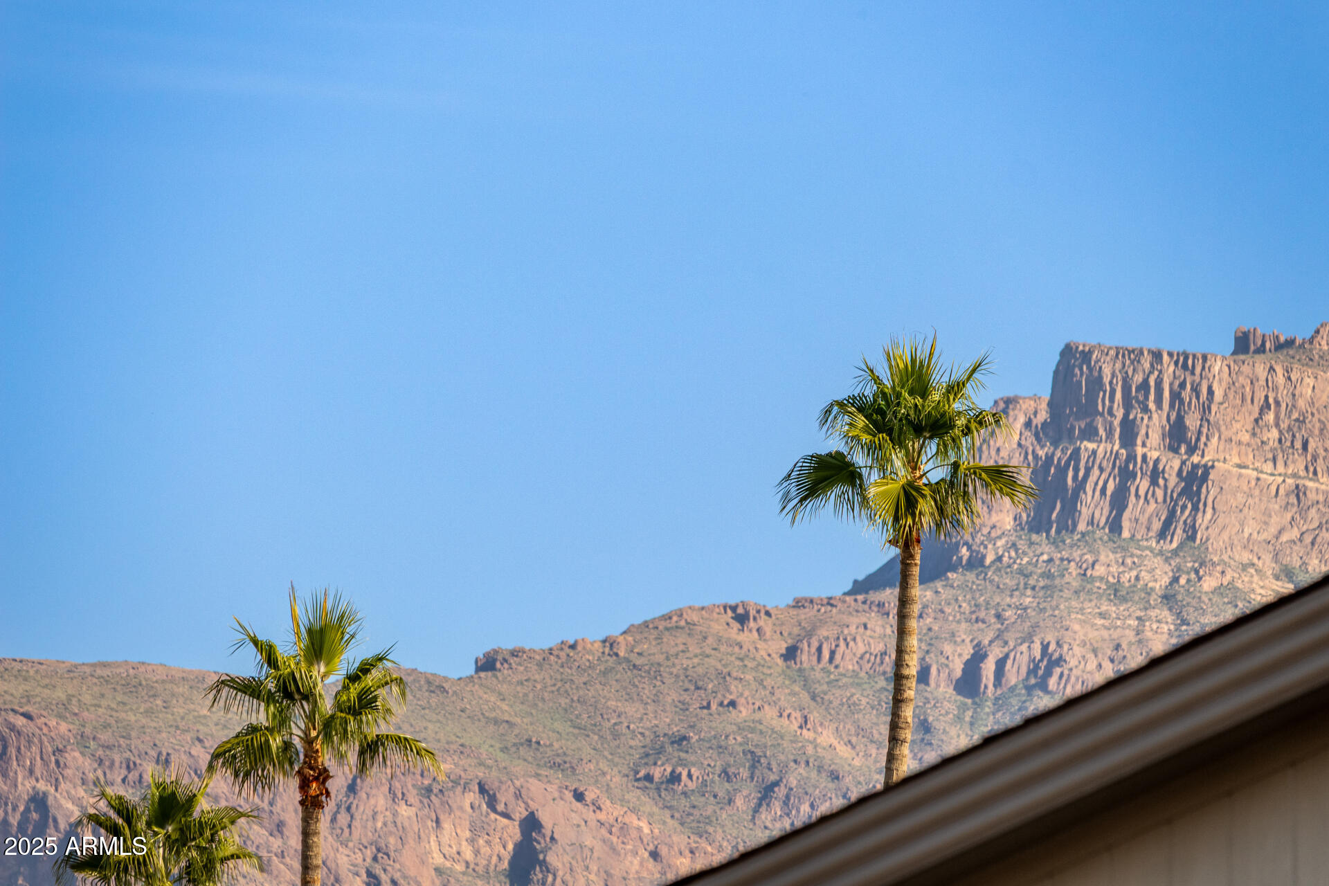 2400 East Baseline Avenue, Unit 148 Apache Junction, AZ 85119 - Photo 35 of 42 a vase of flowers sitting on a shelf