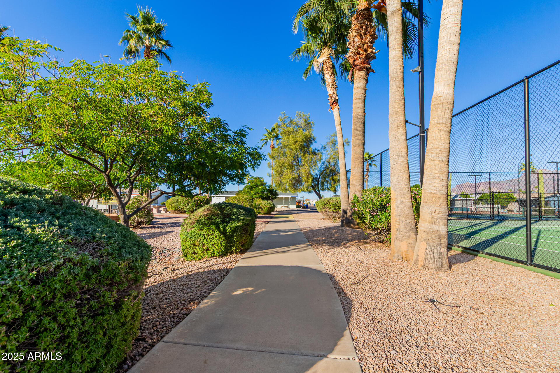 2400 East Baseline Avenue, Unit 148 Apache Junction, AZ 85119 - Photo 39 of 42 a view of a garden with a pathway