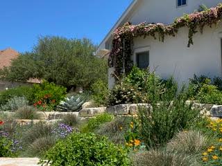 2305 Summit Forest Fredericksburg, TX 78624 - Photo 40 of 54