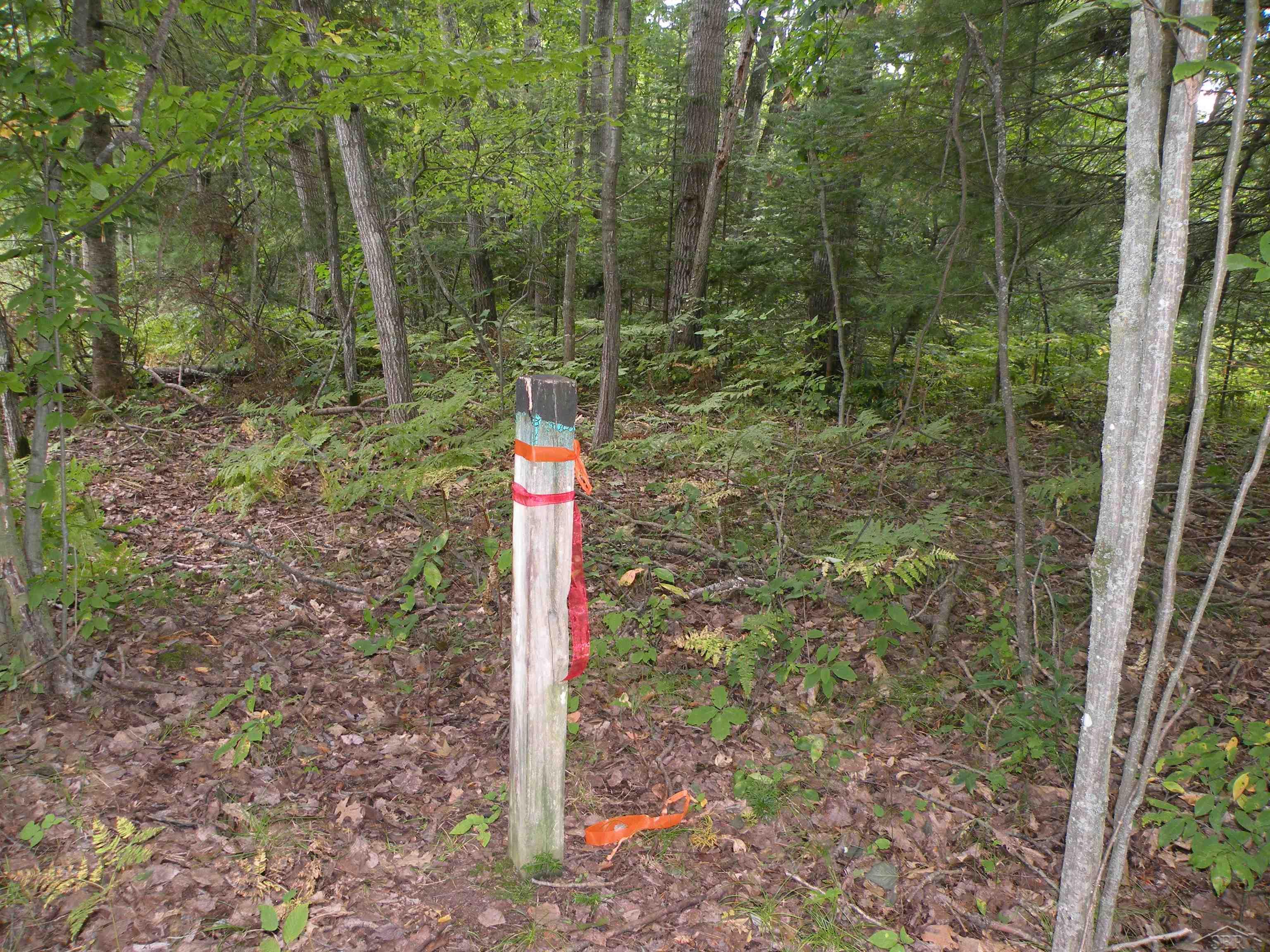 North County Line Road Farwell, MI 48622 - Photo 13 of 18