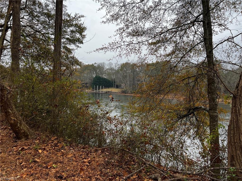 Lot 155 Lookout Dam Road Statesville, NC 28625 - Photo 2 of 10