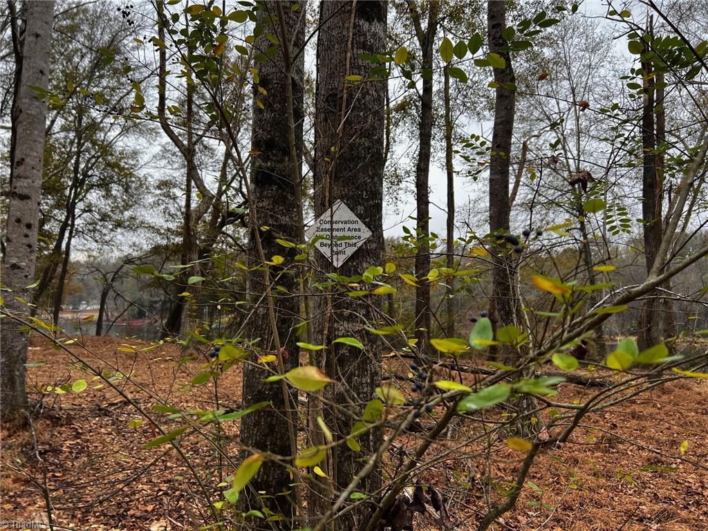 Lot 155 Lookout Dam Road Statesville, NC 28625 - Photo 4 of 10