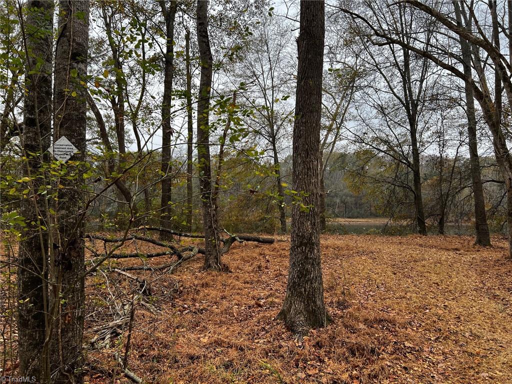Lot 155 Lookout Dam Road Statesville, NC 28625 - Photo 5 of 10