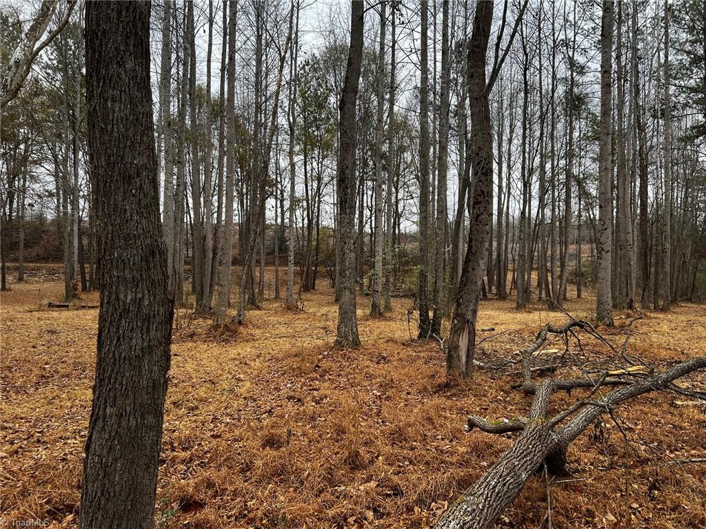 Lot 155 Lookout Dam Road Statesville, NC 28625 - Photo 6 of 10