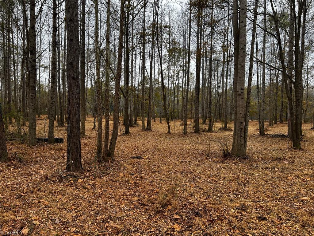 Lot 155 Lookout Dam Road Statesville, NC 28625 - Photo 8 of 10
