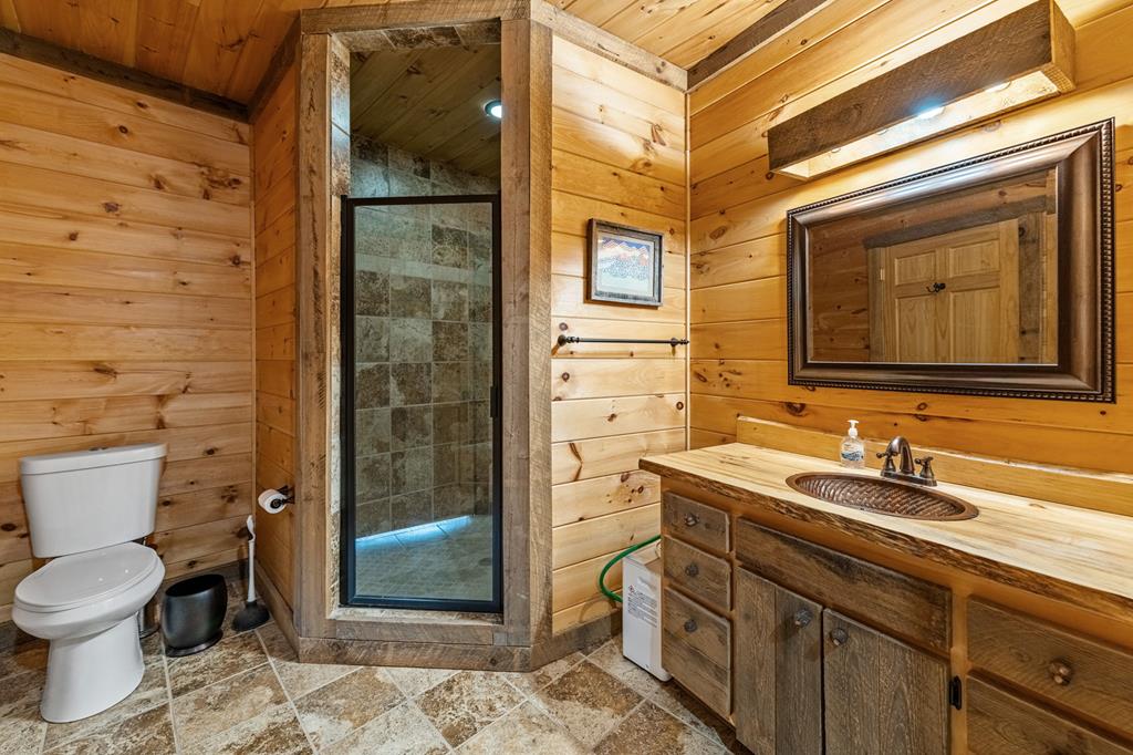 307 Big Timber Road Mineral Bluff, GA 30559 - Photo 64 of 85 Gallery Image 64