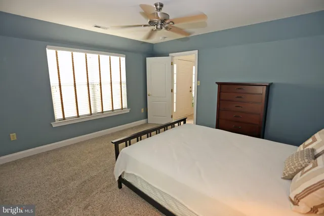 a bathroom with a shower and a window