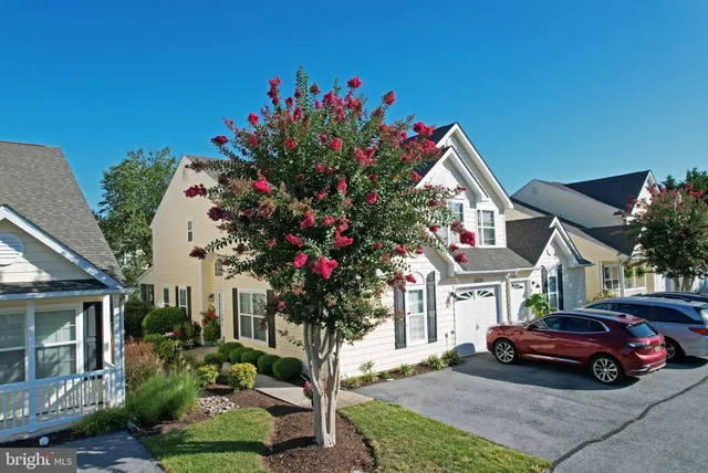 a yellow house with lots of trees in front of it