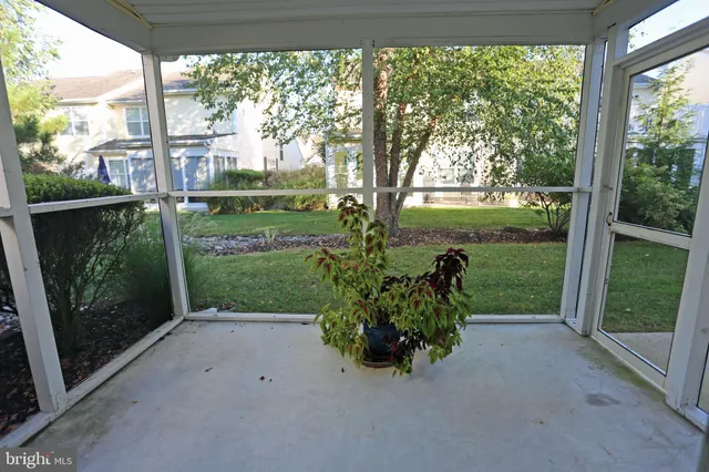 a small yard with plants and large trees