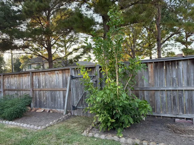a view of a backyard with plants and wooden fence