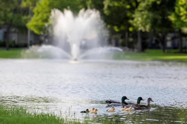 $3,250 | 1015 Longdraw Drive, Katy, TX 77494