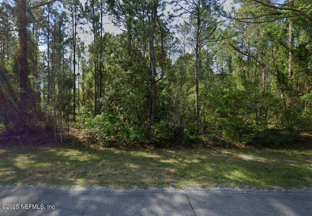 263 Georgetown Denver Road Georgetown, FL 32139 - Photo 2 of 4 a view of a yard with plants and large trees