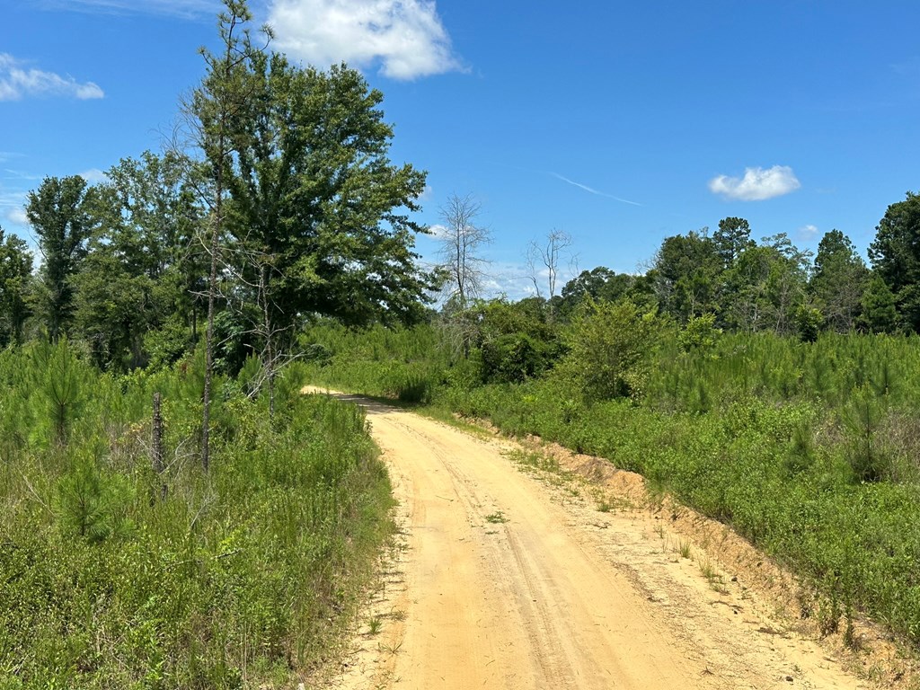 250 Adams Mill Road Clayton, AL 36016 - Photo 33 of 74