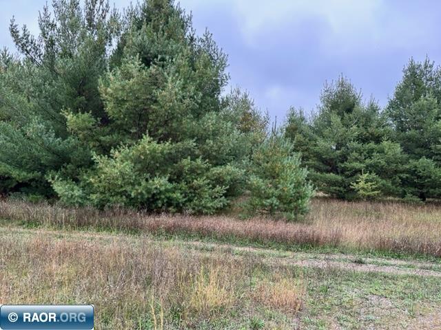 Tbd Vermilion Trail Gilbert, MN 55741 - Photo 1 of 3