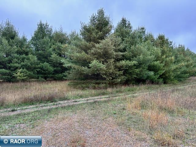 Tbd Vermilion Trail Gilbert, MN 55741 - Photo 2 of 3