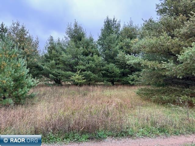 Tbd Vermilion Trail Gilbert, MN 55741 - Photo 3 of 3