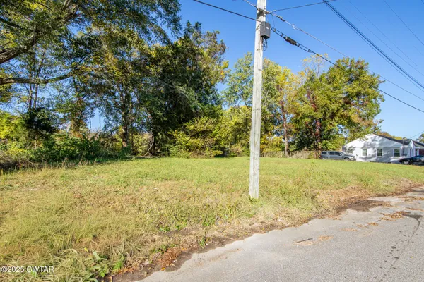 a view of yard with green space