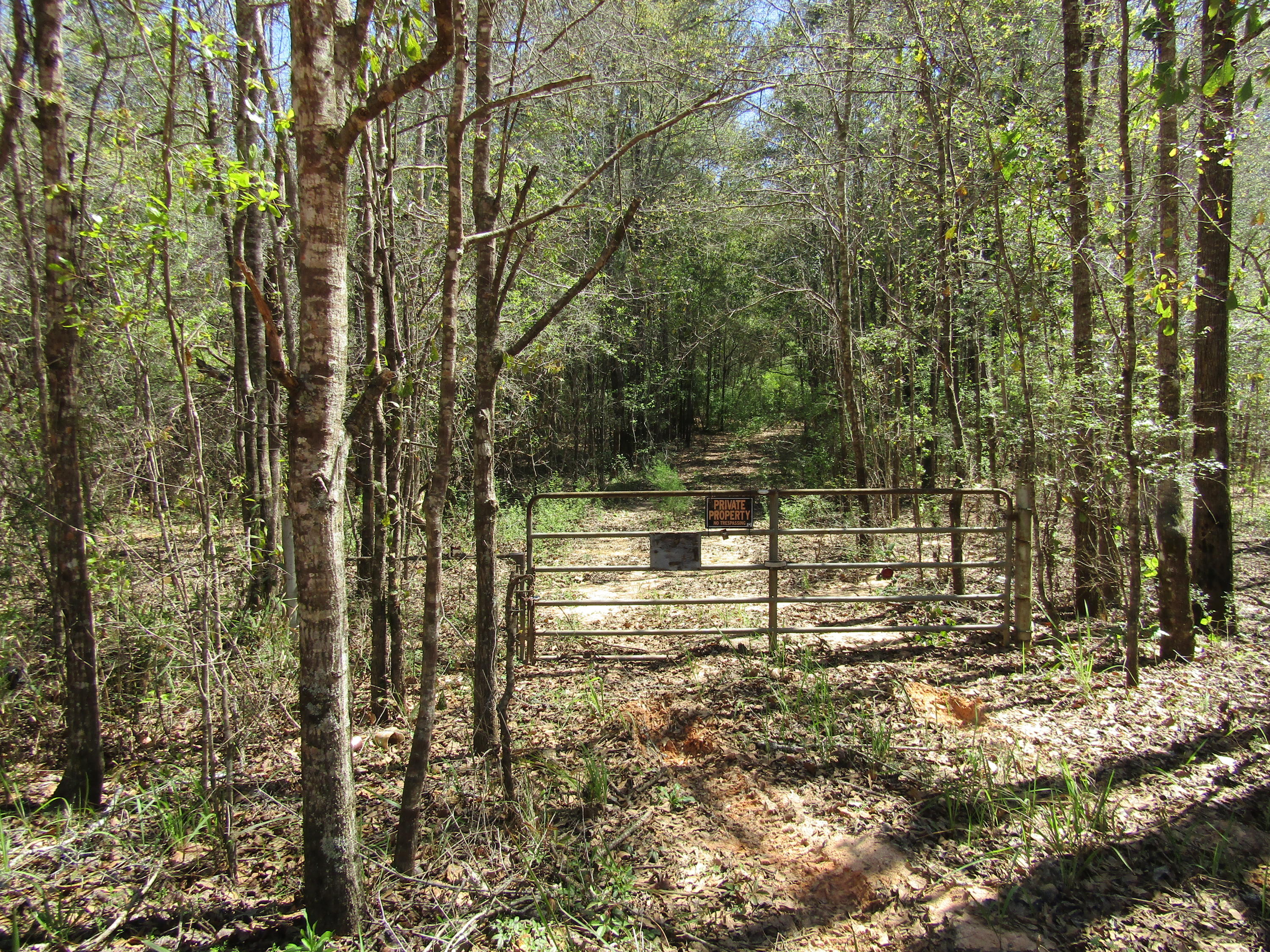 One 1 Bridge Road Laurel Hill, FL 32567 - Photo 2 of 5 Gallery Image 2