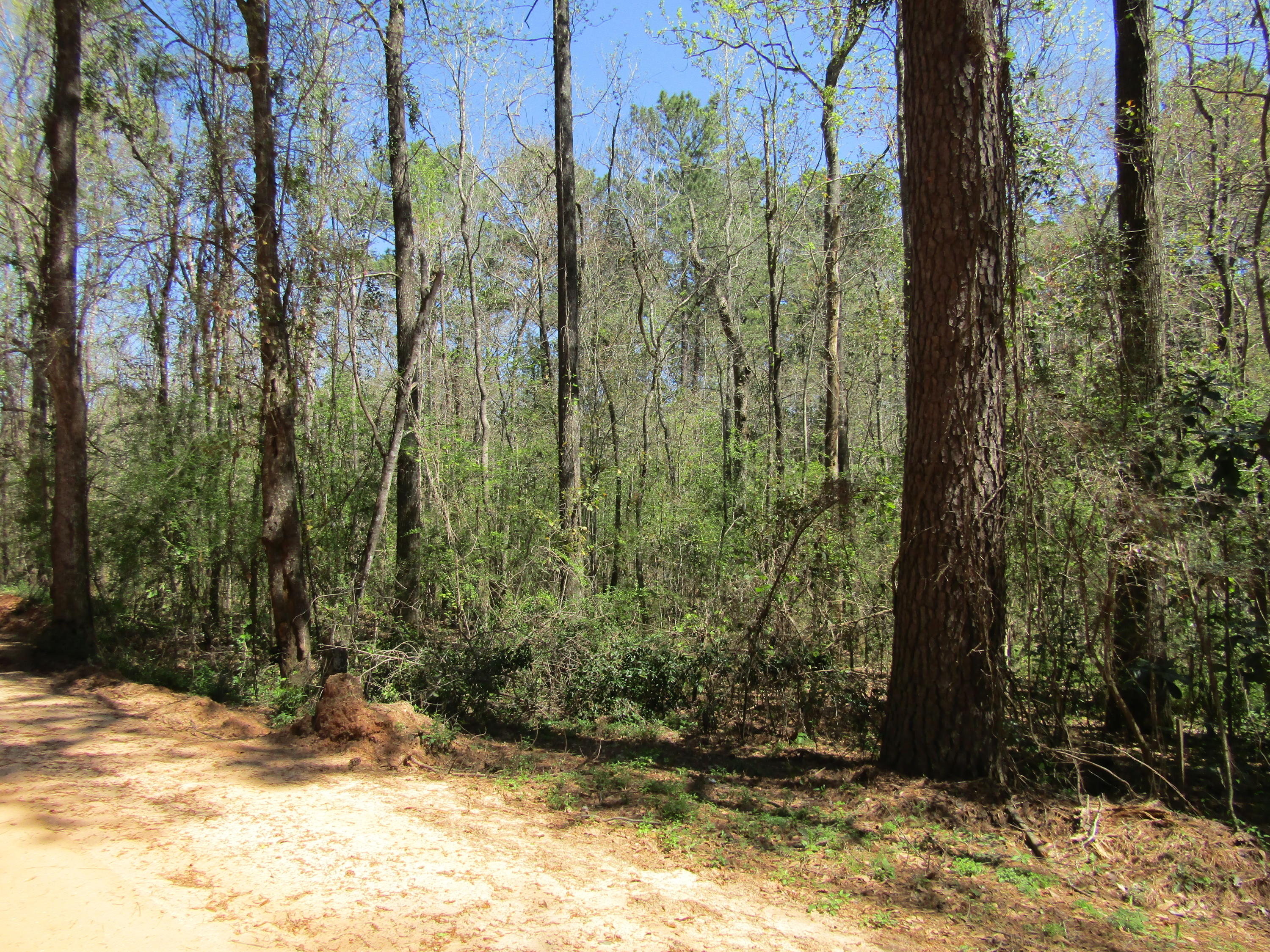 One 1 Bridge Road Laurel Hill, FL 32567 - Photo 3 of 5 Gallery Image 3