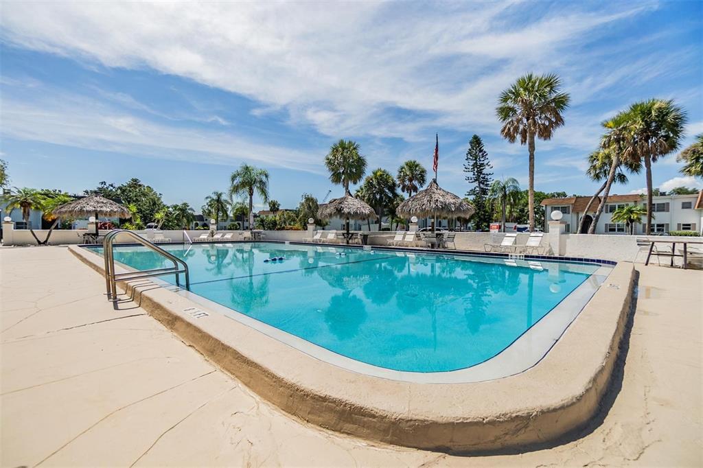 233 South McMullen Booth Road, Unit 43 Clearwater, FL 33759 - Photo 12 of 23 a view of a swimming pool with a garden