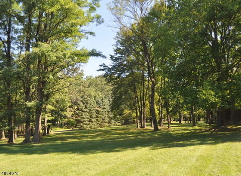 20 Dryden Road Bernardsville, NJ 07924 - Photo 9 of 11 a garden view with a fountain