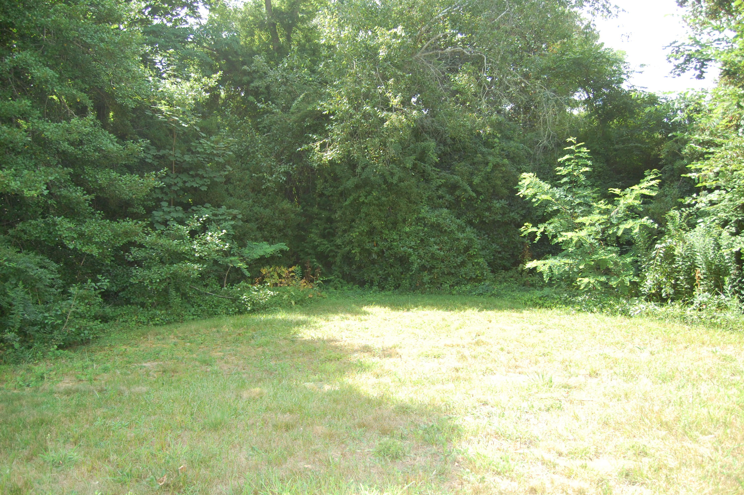 46 Namskaket Road Orleans, MA 02653 - Photo 34 of 35 a view of a yard with a tree
