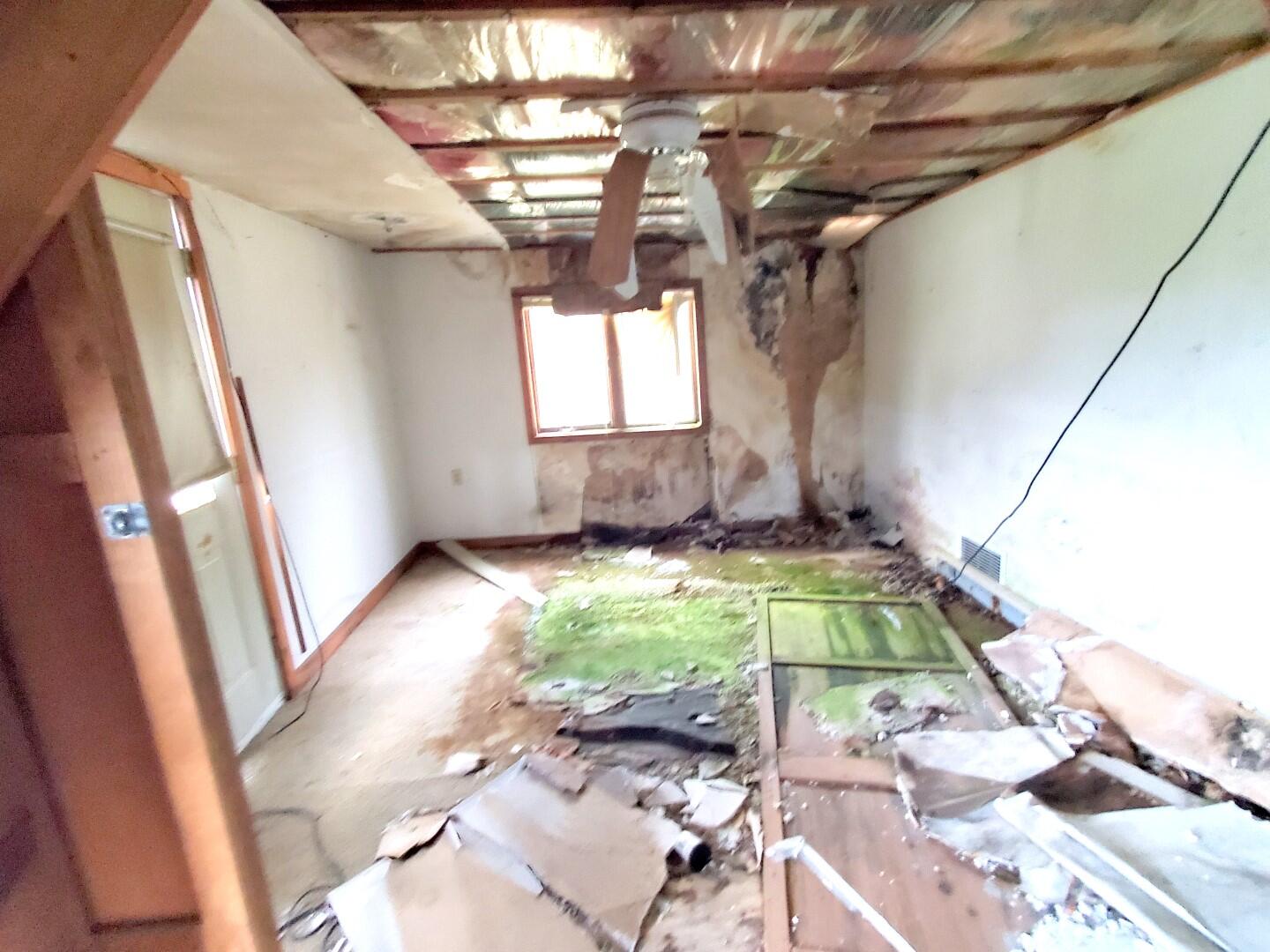 62 Shibles Road Knox, ME 04986 - Photo 17 of 35 5-8-25 Knox -071 (Large)