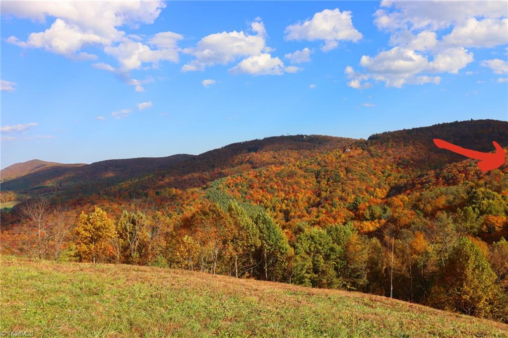 3121 Air Bellows Gap Road Sparta, NC 28675 - Photo 27 of 45 Gallery Image 27