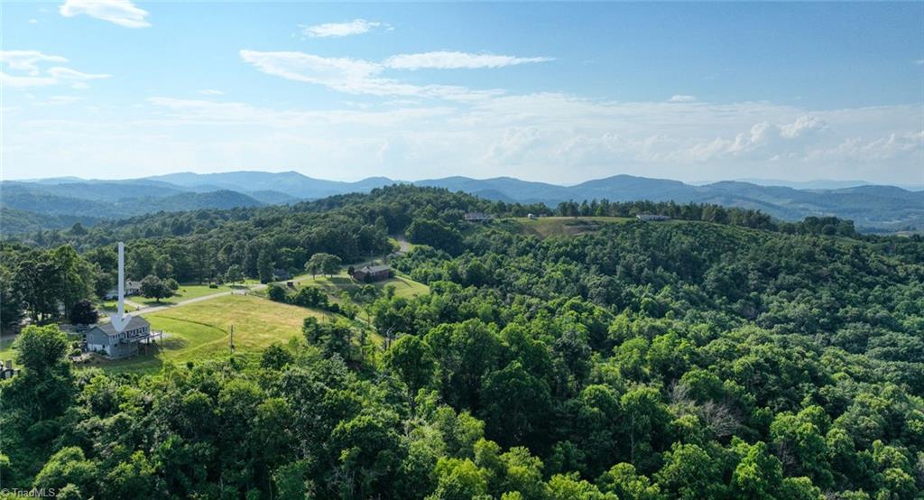 3121 Air Bellows Gap Road Sparta, NC 28675 - Photo 3 of 45 Gallery Image 3