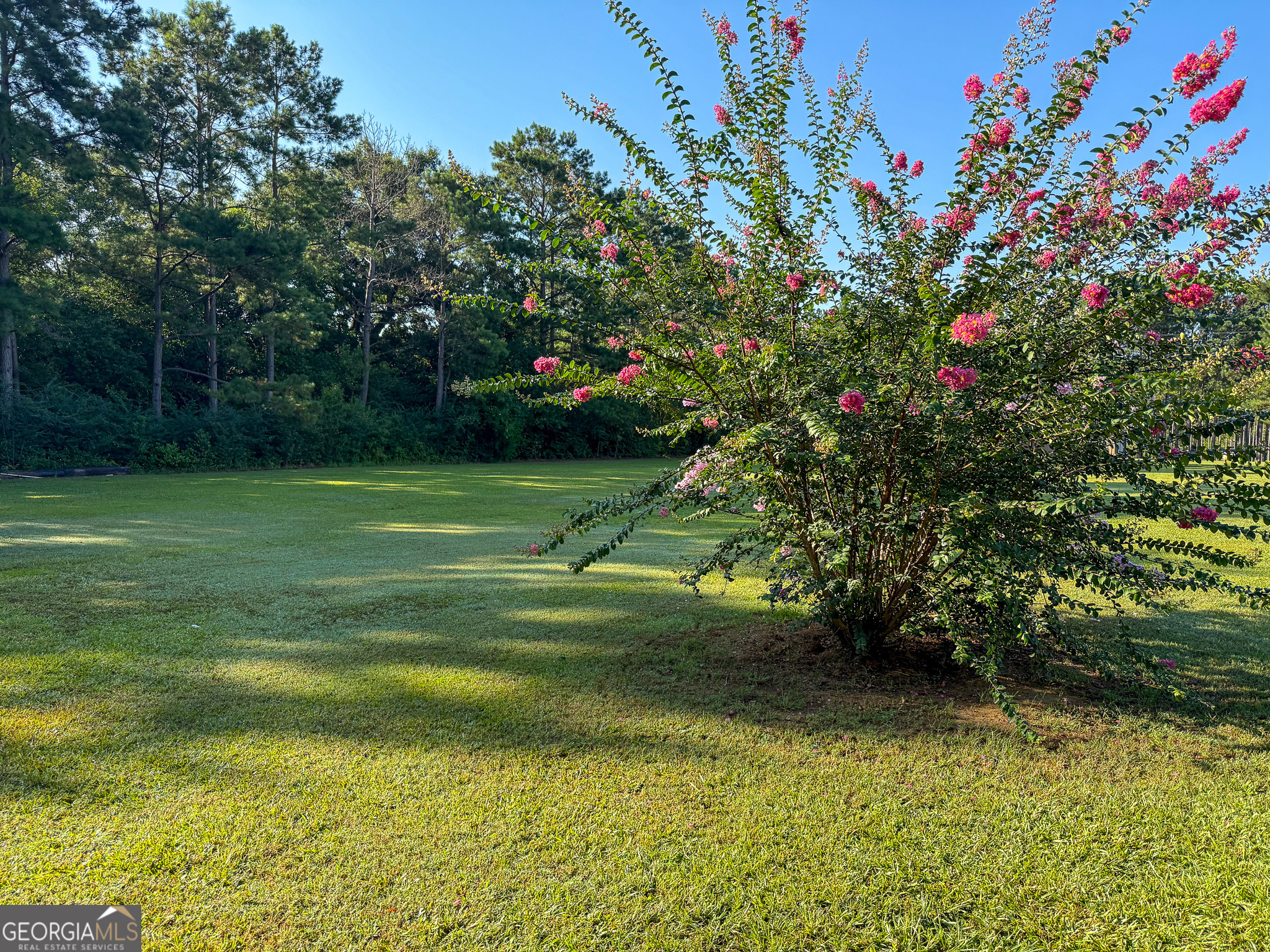 162 College Street Parrott, GA 39877 - Photo 50 of 52
