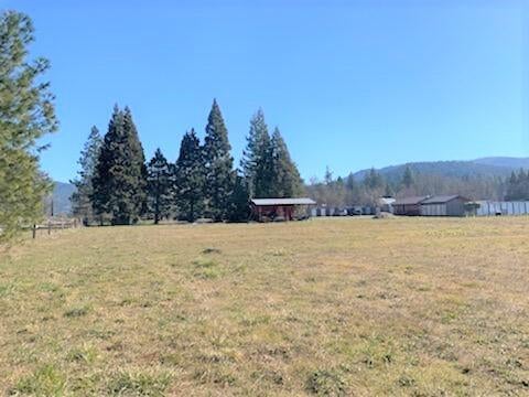 5353 Holland Loop Road Cave Junction, OR 97523 - Photo 3 of 24 2.5