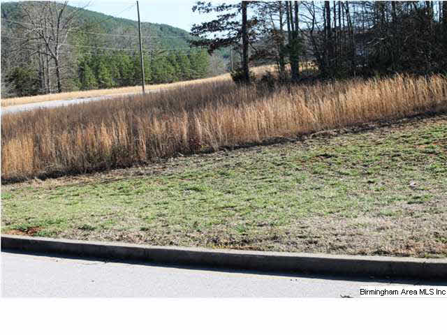 Mount Eagle Lane, Unit 2 Weaver, AL 36277 - Photo 23 of 26