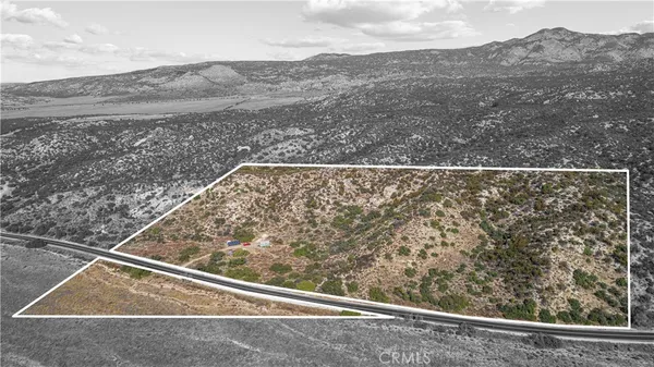 a view of a yard from a window