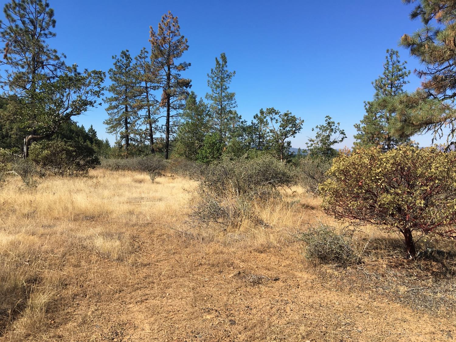 4481 Waldo Road Cave Junction, OR 97523 - Photo 3 of 13 Additional Photo
