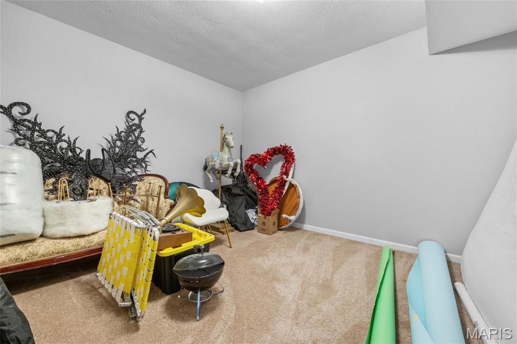 8125 East Mick Road Edwardsville, IL 62025 - Photo 43 of 44