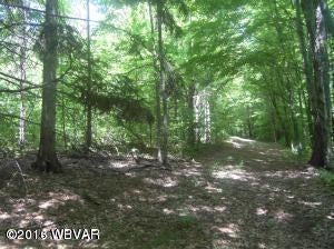 0 Whiskey Run Road Muncy Valley, PA 17758 - Photo 6 of 11 20141206151803670166000000-o